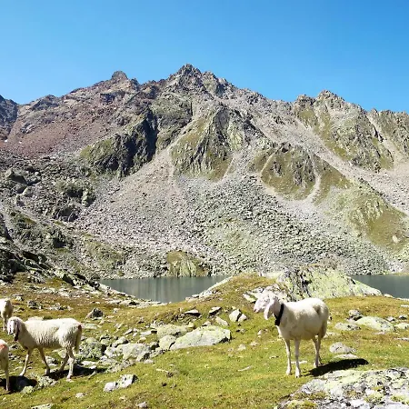 아파트 Nadine-5 By Interhome *